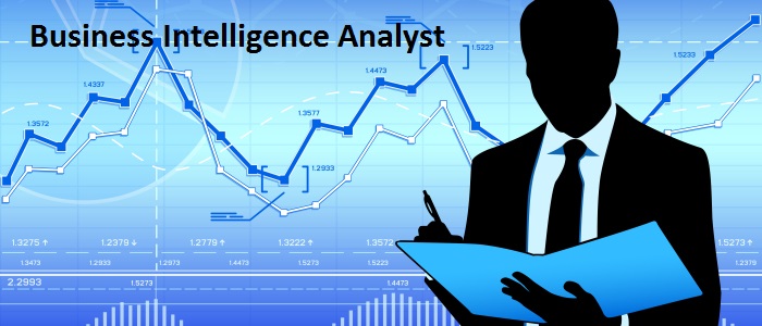 Business Intelligence Analyst Job Description