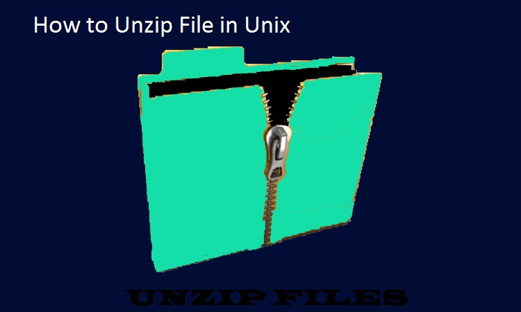 Unzip file in unix