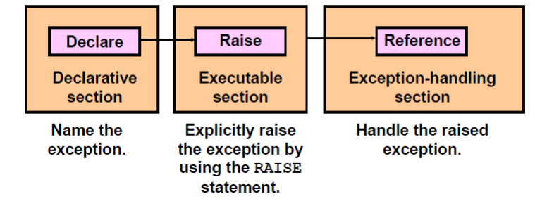 PL/SQL Tutorial #18: System defined exceptions with Simple Examples 